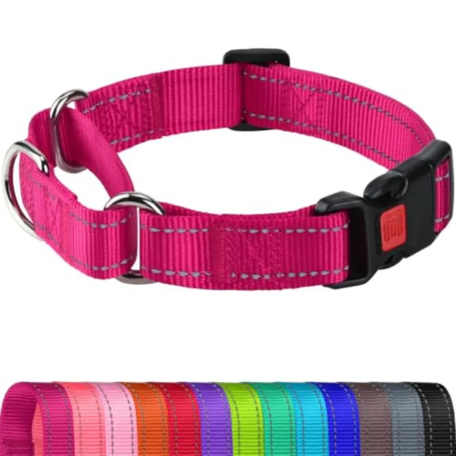 Martingale Collar for Dogs, Reflective Escape Proof Training Dog Collars with Safety Lock Buckle, No Slip Soft Nylon for Medium