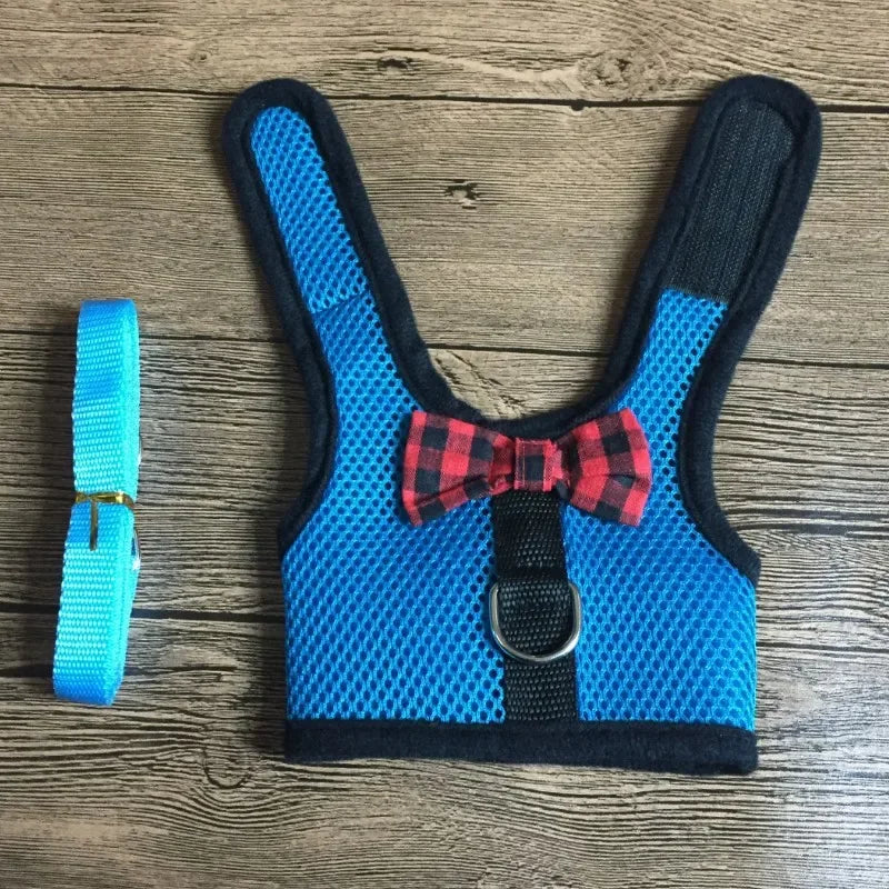 Small Animal Outdoor Walking Harness and Leash Set Cute Clothes for Puppy Kitten Pigs Bunny Chinchillas Necklace Rabbit Vest