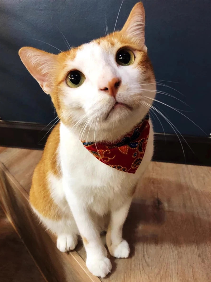 Japanese Style Sphynx Cat Collar for Cats Goats Flower Print Pet Collars with Bandanas Chinchilla mascotas Accessories Scarves