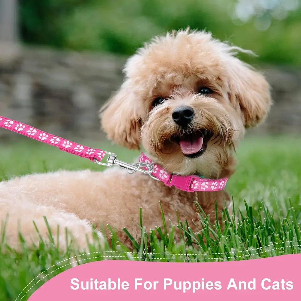 2 Packs Dog Collar and Leash Set, Adjustable Quick Release Buckle Paw Print Puppy Collar, Nylon Pet Collar for Small Dogs