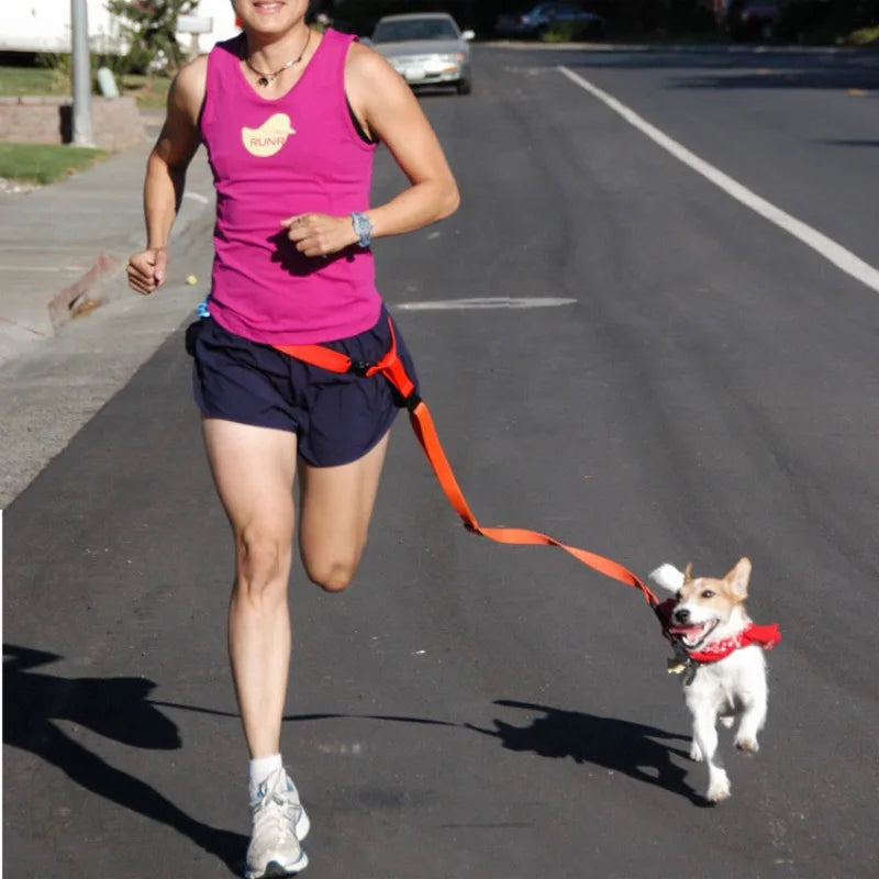 Chest Hands 1PC Belt Traction Walking Pet Lead Gift Free Rope Cat Running Pets Adjustable Strap Waist Jogging Supplies Dog Leash