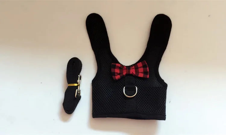 Small Animal Outdoor Walking Harness and Leash Set Cute Clothes for Puppy Kitten Pigs Bunny Chinchillas Necklace Rabbit Vest