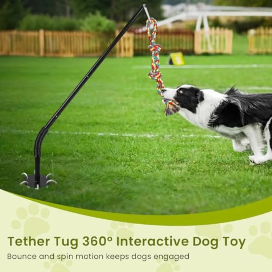 Tether Tug Outdoor Dog Toy with Chew Rope Adjustable Height Sturdy Metal Tug of War Interactive Pull Pet Toys Exercise Game for