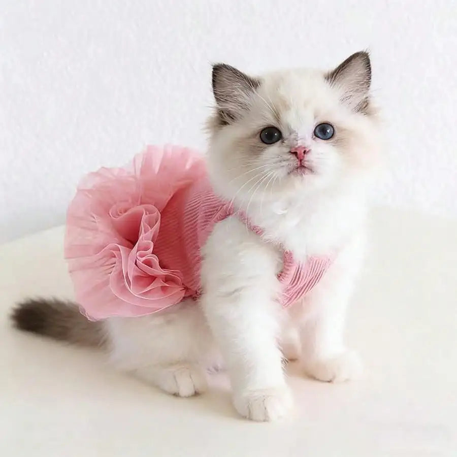 1pc Dog Pink Tutu Clothes Valentine Day Dresses Small Doggy Pet Sweet Outdoor Birthday Party Festival Outfit