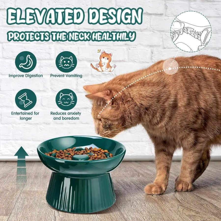2 Pcs Raised Cat Slow Feeder Bowl Ceramic Elevated Cat Dog Food Bowl No Spill High Edge for Dry Wet Food and Water Easy to Clean