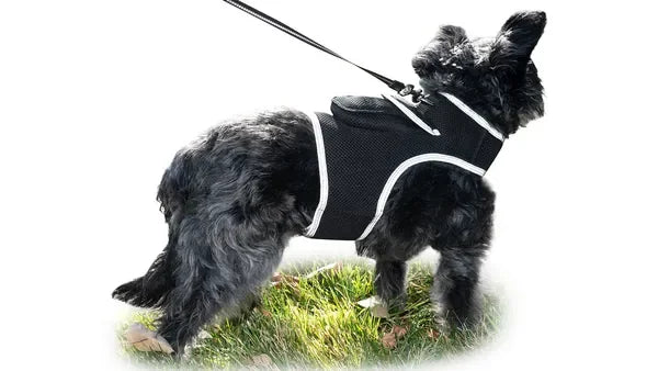 Get Realtime Pet Locations w/ Pet Mini Cat Dog GPS Tracking Collar Size:XXL