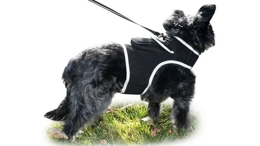 Get Realtime Pet Locations w/ Pet Mini Cat Dog GPS Tracking Collar Size:XXL