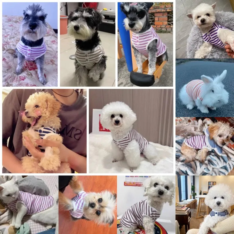New Pet Dog Striped Sweatshirt Clothes for Small Puppy Summer Clothes Soft Cat Vest Bichon Chihuahua Costumes