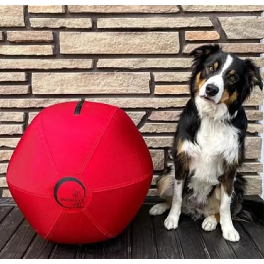 Herding Ball for Dogs 18″ Inflatable Anti-Burst Dog Herding Ball for Australian Shepherds Corgis Collies and Cattle Dogs Durabl
