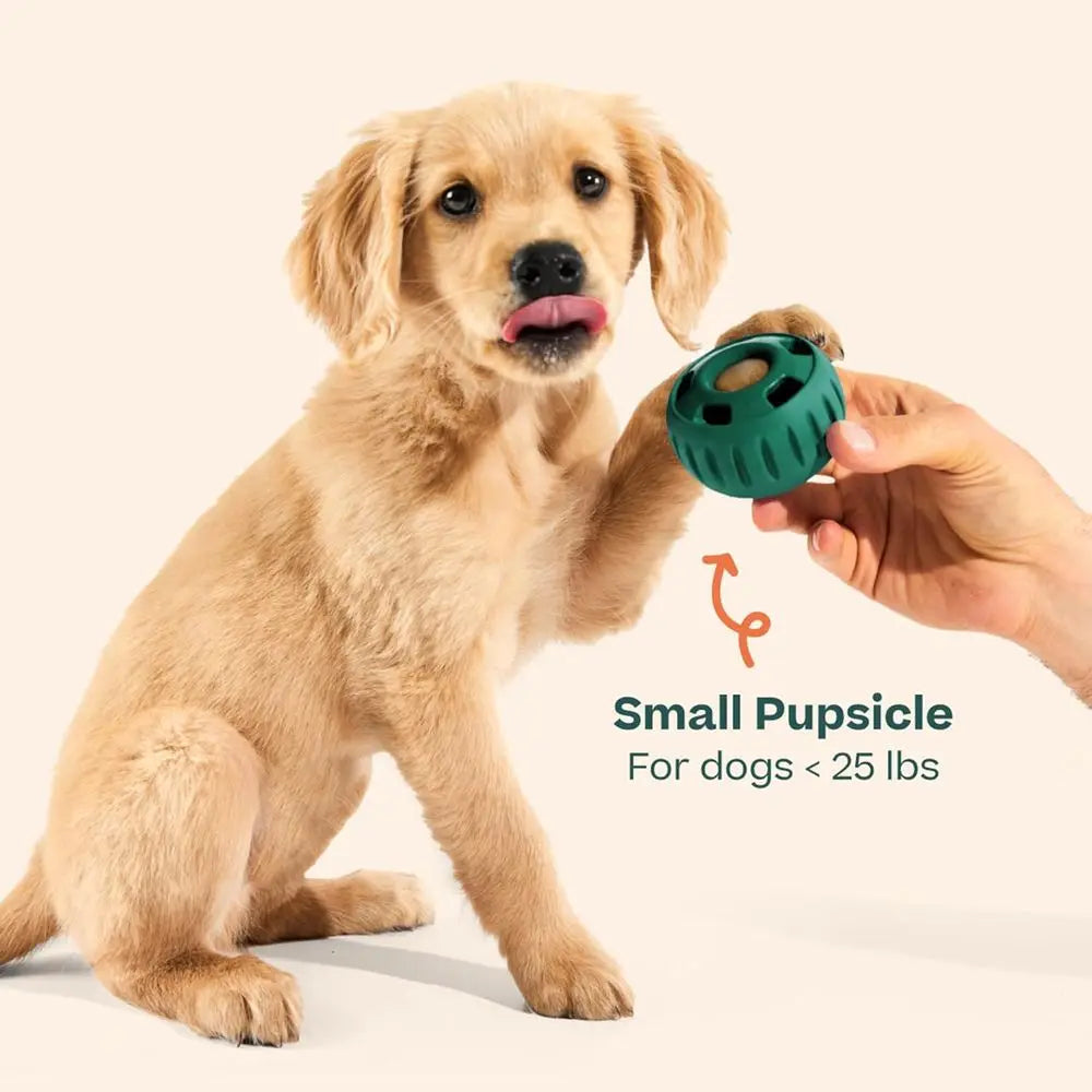 Long-Lasting Interactive Dog Ball Toy to Keep Your Pup Busy and Distracted - Safe for Dogs - Low for Medium and Large Dogs 25-75