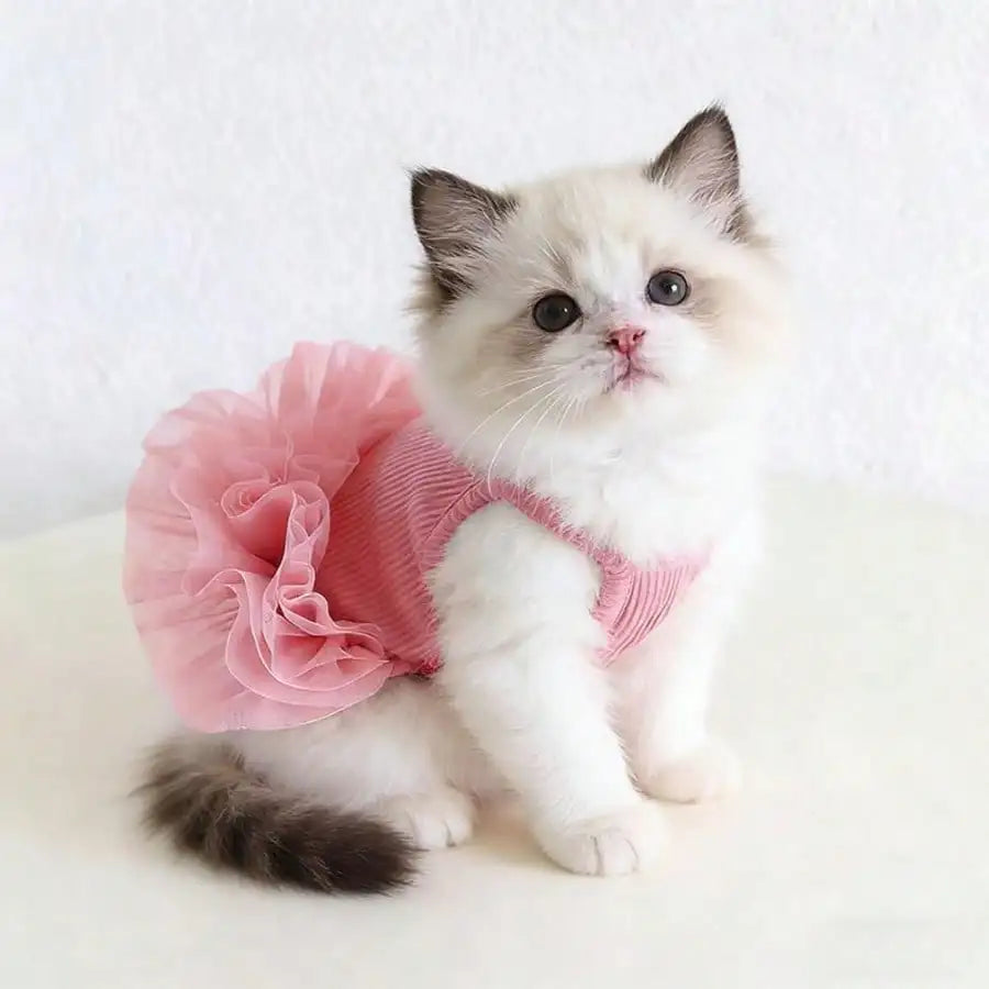 1pc Dog Pink Tutu Clothes Valentine Day Dresses Small Doggy Pet Sweet Outdoor Birthday Party Festival Outfit