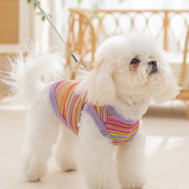 Striped Dog Vest with D-Ring and Breathable Eyelet Design Perfect Summer and Spring Clothes for Small Dogs and Cats Stylish