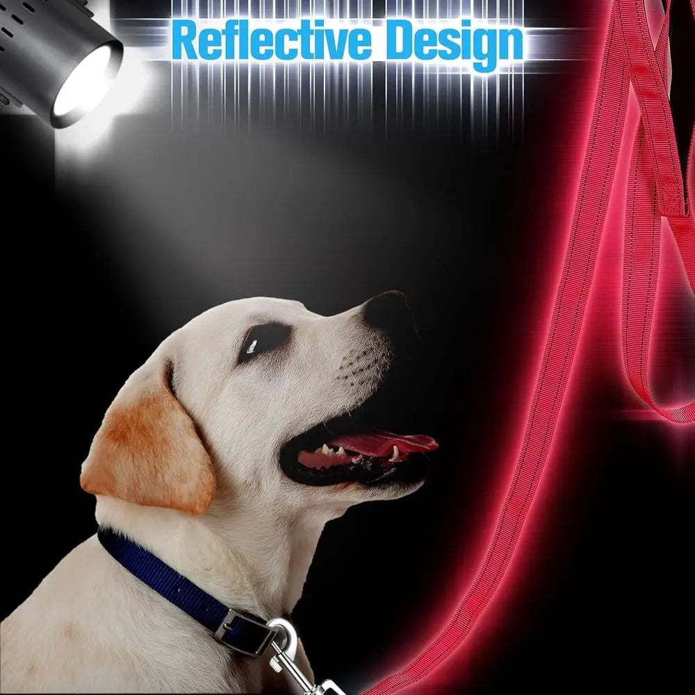 6 Pieces Dog Leash Bulk Medium Large Dog Heavy Duty Nylon Pack Dogs Leashes Padded Handle Double Sided Reflective Puppy Collar W