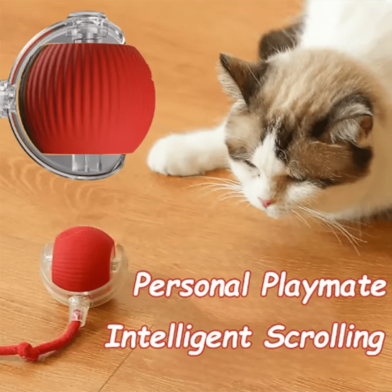 Automatic Interactive Cat Ball, Smart Self-Play Toy with Long Lasting Battery, Chew Proof for Cats Kittens - Barking & Purrfectly Happy