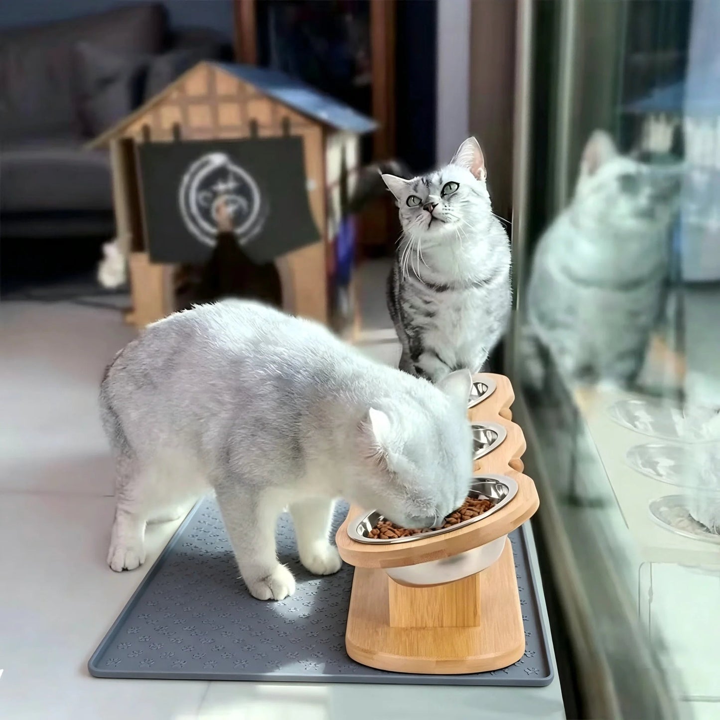 Cat 3 Bowls in 1 Raised Feeder with Silicone Food Mat 15-Degree Tilt Elevated Wood Stand 3 Stainless Steel Bowls Puppy Cat Feeding Watering Supplies - Barking & Purrfectly Happy