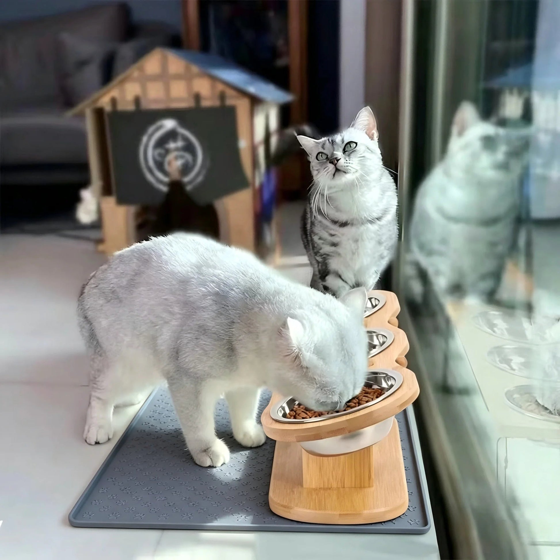 Cat 3 Bowls in 1 Raised Feeder with Silicone Food Mat 15-Degree Tilt Elevated Wood Stand 3 Stainless Steel Bowls Puppy Cat Feeding Watering Supplies - Barking & Purrfectly Happy