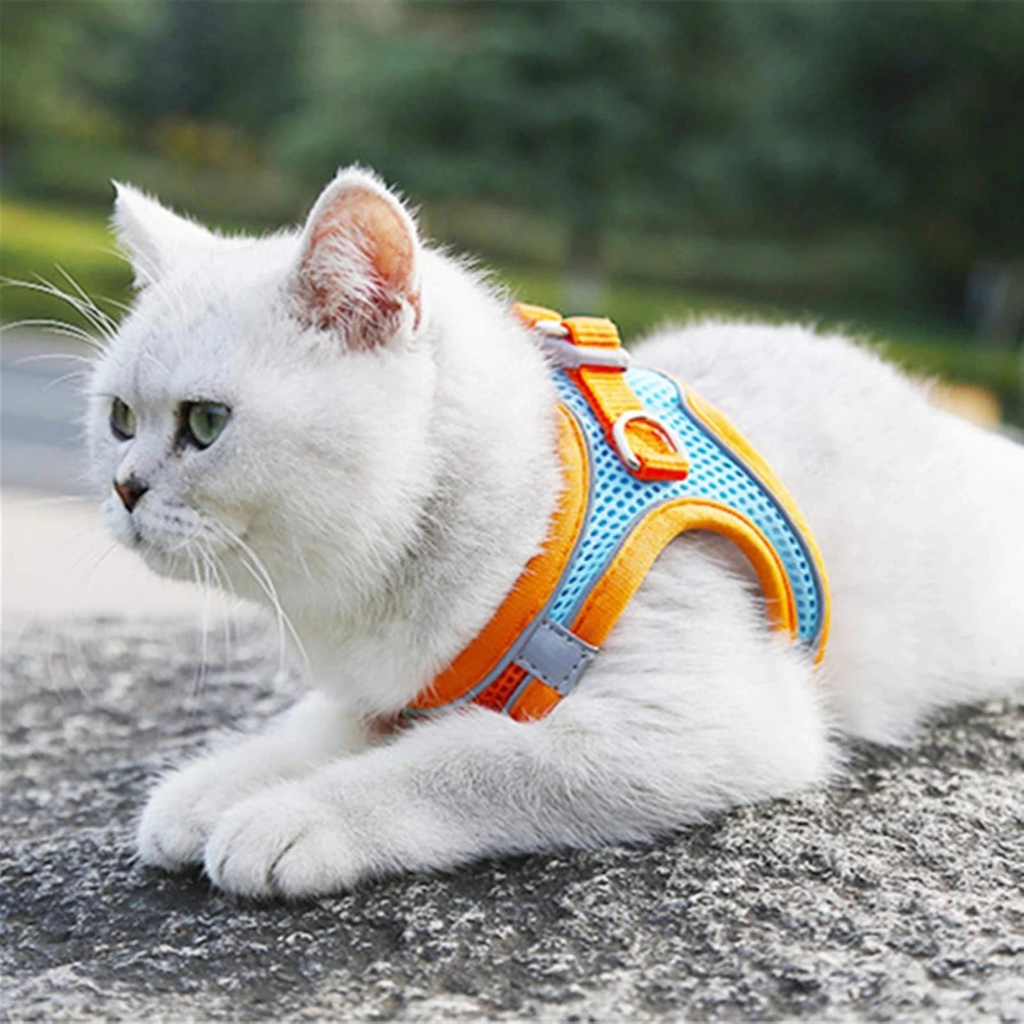 Cat Harness Reflective Pet Harnesses And Leashes Set Adjustable Pet Harness for Cats Small Dogs Pug Chihuahua Cat Accessories - Barking & Purrfectly Happy
