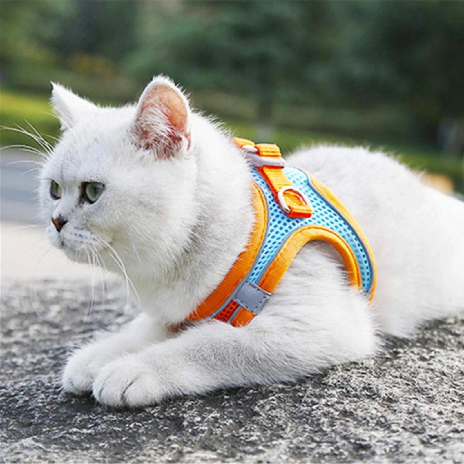 Cat Harness Reflective Pet Harnesses And Leashes Set Adjustable Pet Harness for Cats Small Dogs Pug Chihuahua Cat Accessories - Barking & Purrfectly Happy