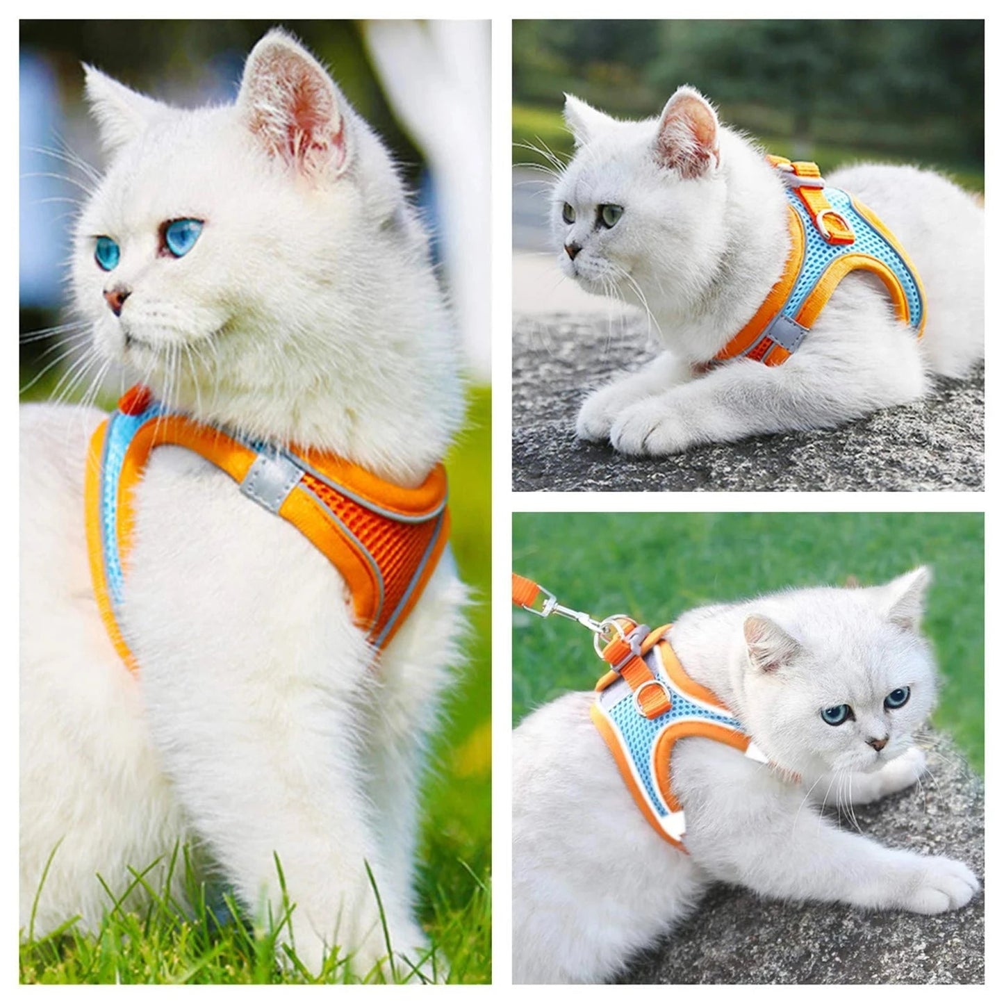 Cat Harness Reflective Pet Harnesses And Leashes Set Adjustable Pet Harness for Cats Small Dogs Pug Chihuahua Cat Accessories - Barking & Purrfectly Happy