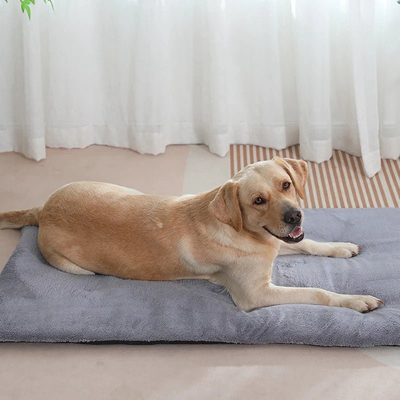 Dog Bed Short Plush Pet Heated Sleeping Mat Cats And Dogs Cute Pet Mat Blanket Thickened Sleeping Mat Small Large Dog Pet Suppli - Barking & Purrfectly Happy