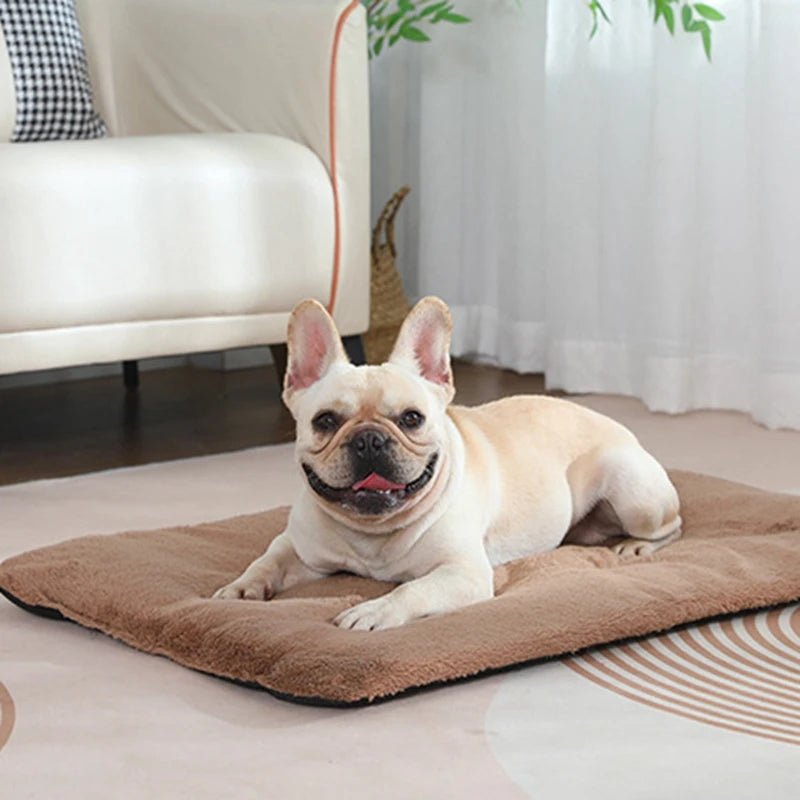 Dog Bed Short Plush Pet Heated Sleeping Mat Cats And Dogs Cute Pet Mat Blanket Thickened Sleeping Mat Small Large Dog Pet Suppli - Barking & Purrfectly Happy