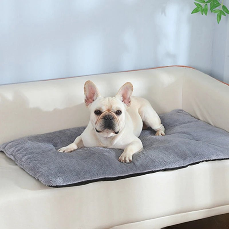 Dog Bed Short Plush Pet Heated Sleeping Mat Cats And Dogs Cute Pet Mat Blanket Thickened Sleeping Mat Small Large Dog Pet Suppli - Barking & Purrfectly Happy