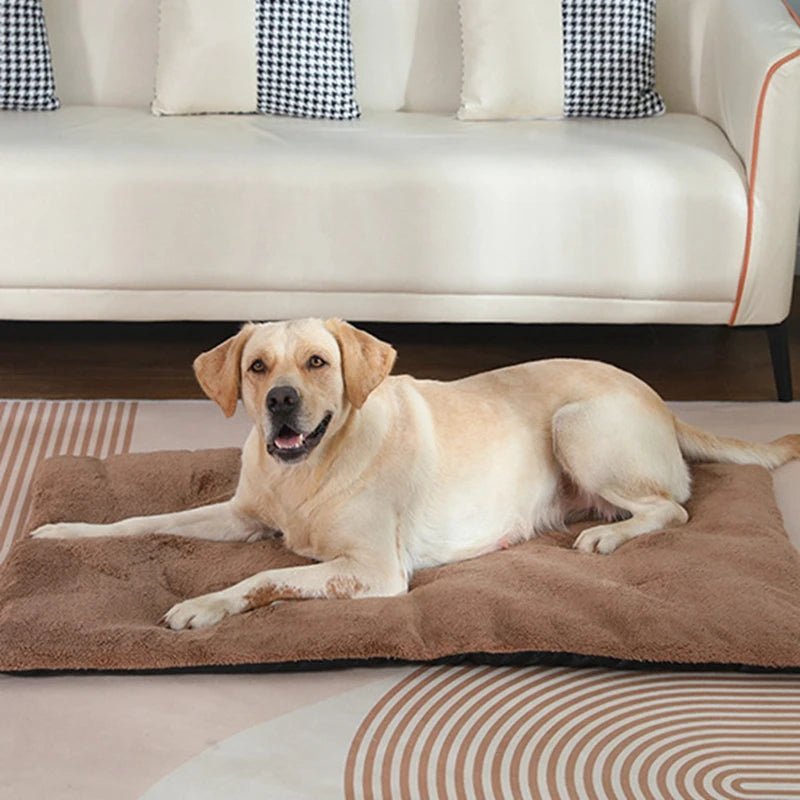 Dog Bed Short Plush Pet Heated Sleeping Mat Cats And Dogs Cute Pet Mat Blanket Thickened Sleeping Mat Small Large Dog Pet Suppli - Barking & Purrfectly Happy