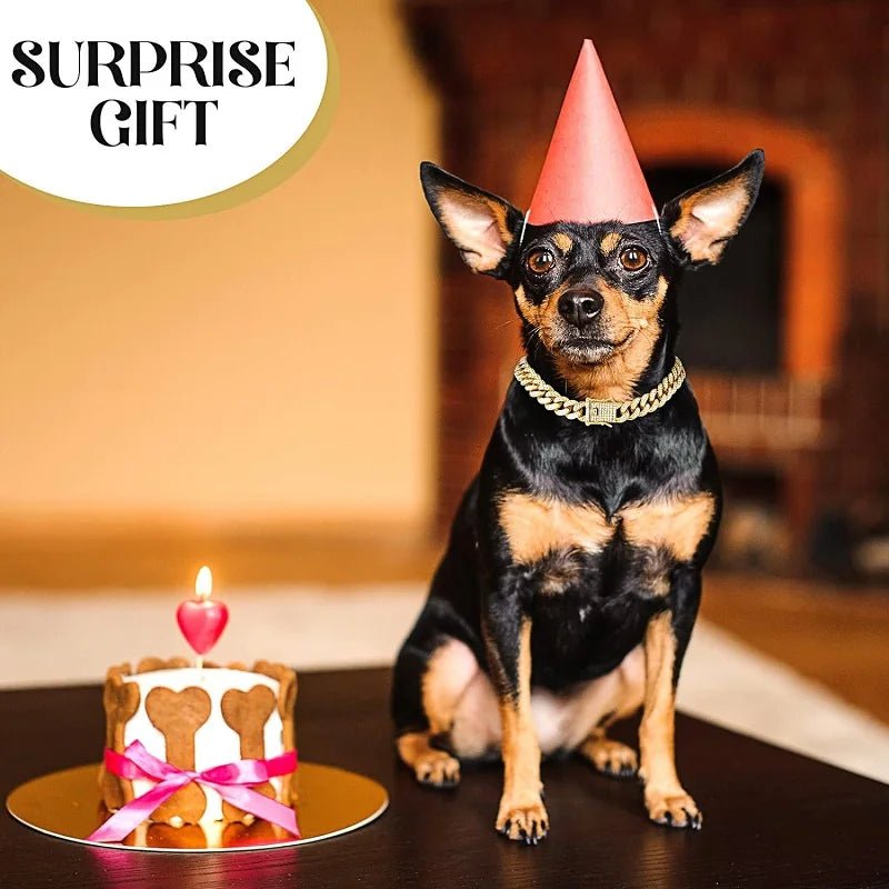 Dog Chain Collar Luxury Gold Pet Metal Chain Collar For Small Medium Large Dogs Cats Pet Jewelry Necklace Accessorie - Barking & Purrfectly Happy