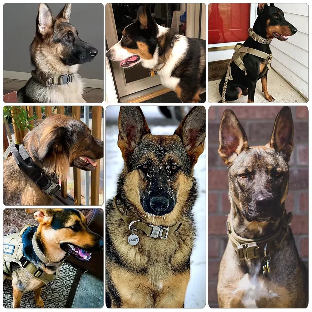 Dog Training Collar Adjustable Tactical Dog Collar And Leash Set Control Handle Pet Lead Collar For Small Big Dogs - Barking & Purrfectly Happy