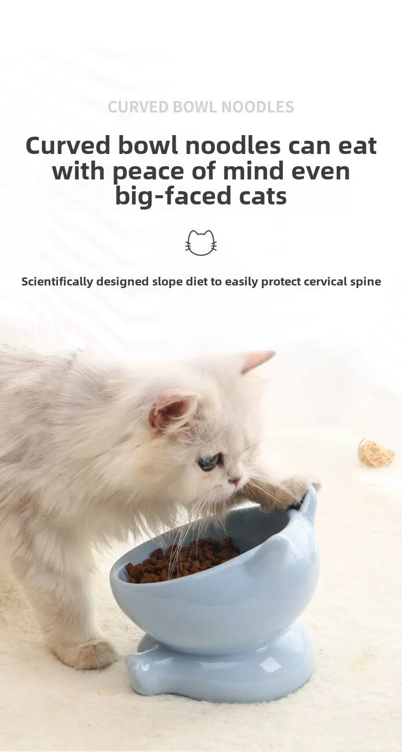 Elevated Ceramic Cat Bowl | Tilted Pet Feeding Bowl for Cats - Barking & Purrfectly Happy