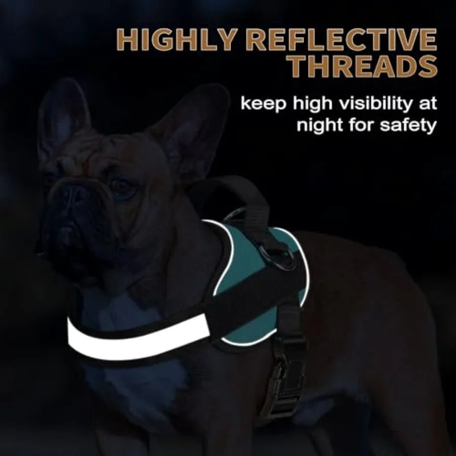 Essential Dog Harness, No Pull Pet Vest with 3 Leash Clips, No Choke, Reflective, Adjustable and Padded, for Easy Walking and T - Barking & Purrfectly Happy