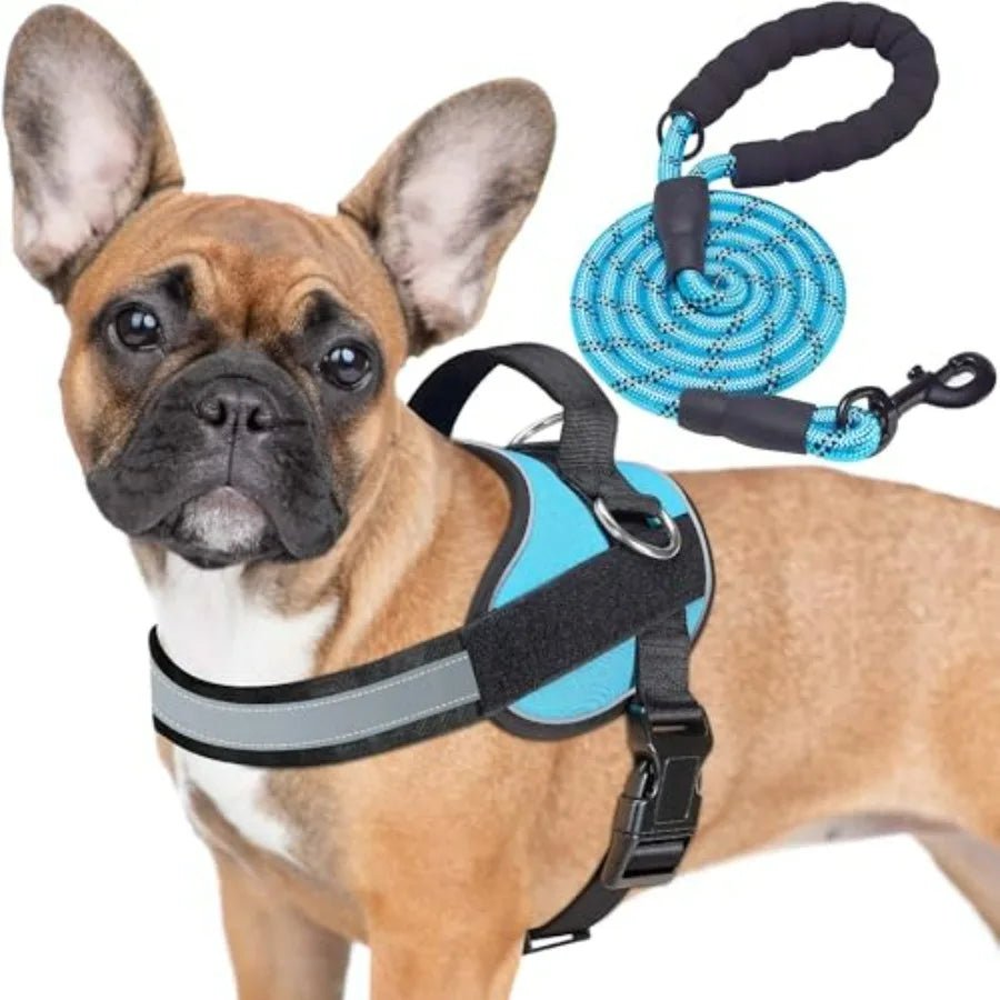 Essential Dog Harness, No Pull Pet Vest with 3 Leash Clips, No Choke, Reflective, Adjustable and Padded, for Easy Walking and T - Barking & Purrfectly Happy
