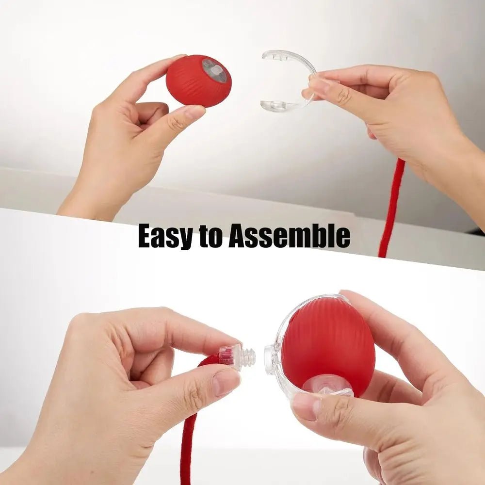 Interactive Dog Cat Toy Ball, Upgraded Rechargeable Smart Automatic Rolling Pet Ball with Tail, Ast Moving Toy for Bored Indoor - Barking & Purrfectly Happy