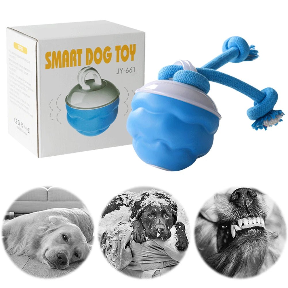 Interactive Dog Toys Ball Electric Rolling Ball USB Rechargeable Motion Activate Cat Toy 3 Modes Pet Exercise Toy for Puppies - Barking & Purrfectly Happy