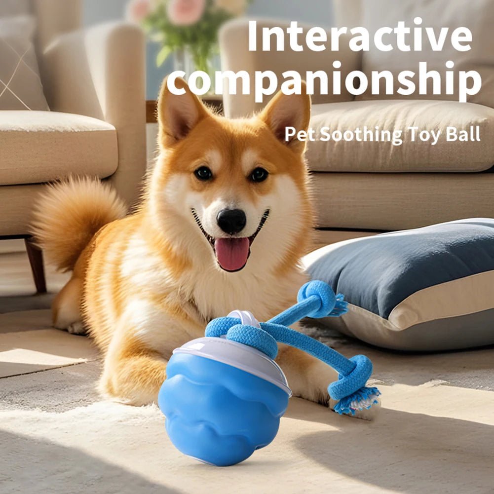 Interactive Dog Toys Ball Electric Rolling Ball USB Rechargeable Motion Activate Cat Toy 3 Modes Pet Exercise Toy for Puppies - Barking & Purrfectly Happy