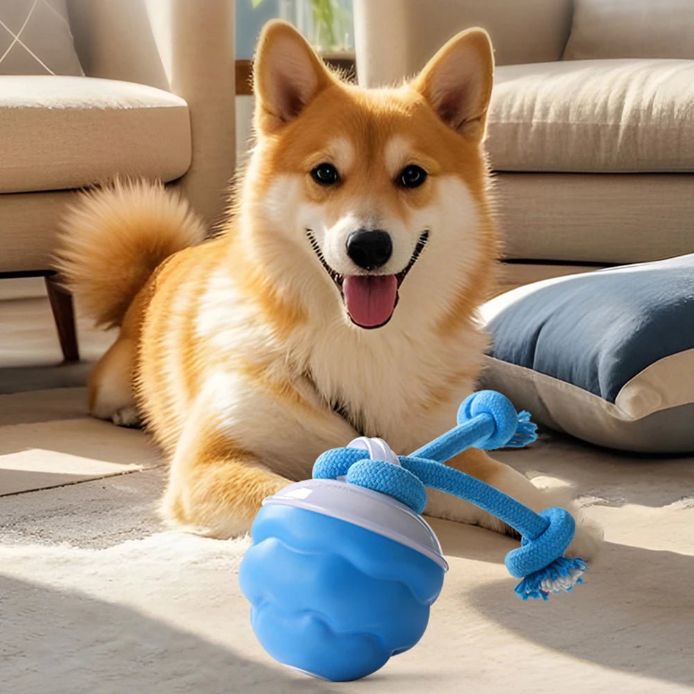 Interactive Dog Toys Ball Electric Rolling Ball USB Rechargeable Motion Activate Cat Toy 3 Modes Pet Exercise Toy for Puppies - Barking & Purrfectly Happy