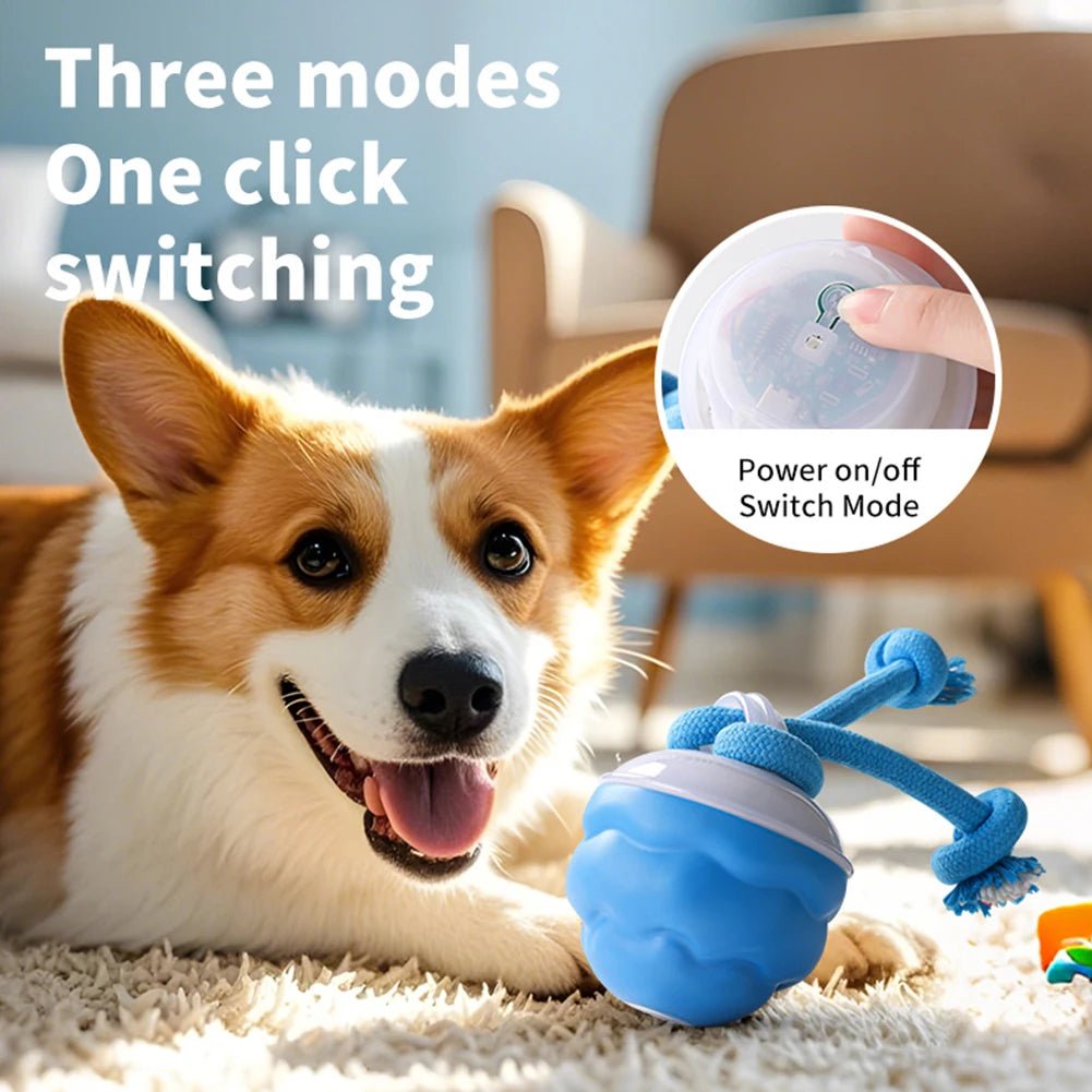 Interactive Dog Toys Ball Electric Rolling Ball USB Rechargeable Motion Activate Cat Toy 3 Modes Pet Exercise Toy for Puppies - Barking & Purrfectly Happy