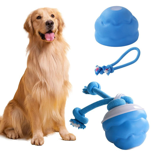 Interactive Dog Toys Ball Electric Rolling Ball USB Rechargeable Motion Activate Cat Toy 3 Modes Pet Exercise Toy for Puppies - Barking & Purrfectly Happy