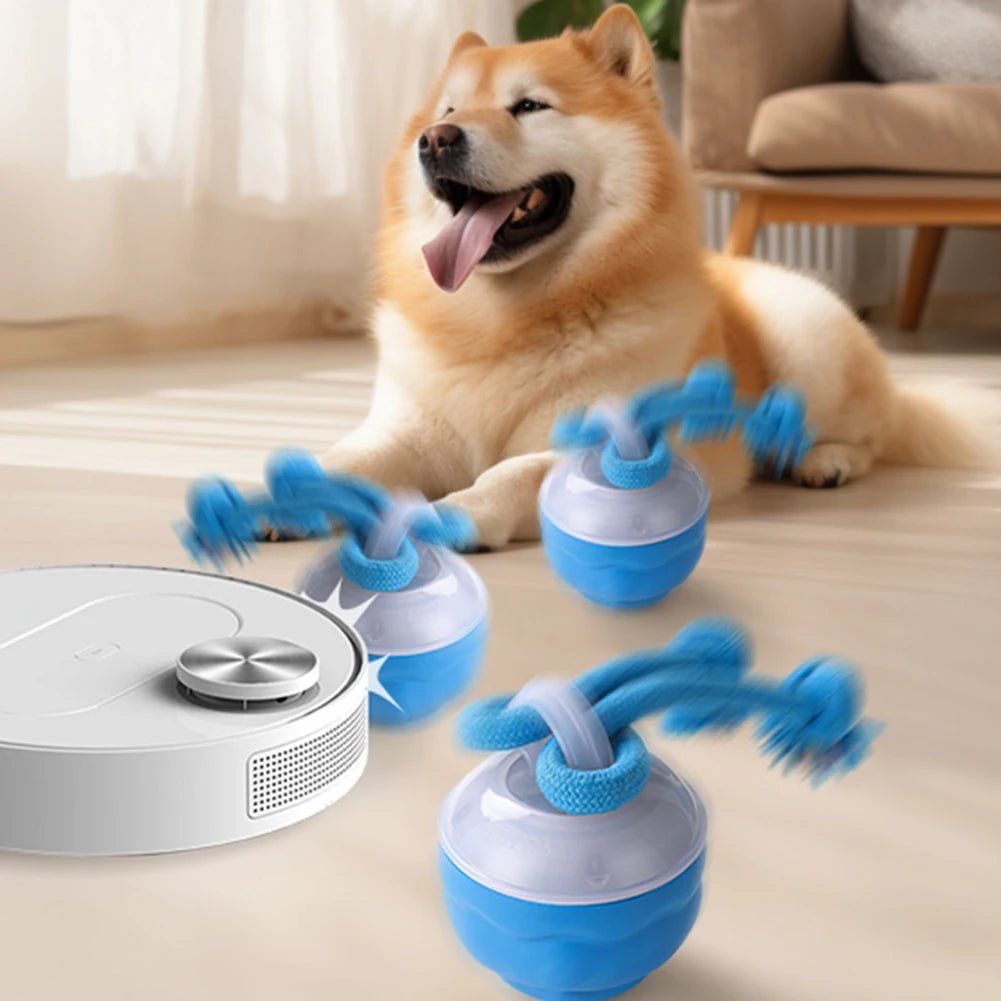 Interactive Dog Toys Ball Electric Rolling Ball USB Rechargeable Motion Activate Cat Toy 3 Modes Pet Exercise Toy for Puppies - Barking & Purrfectly Happy