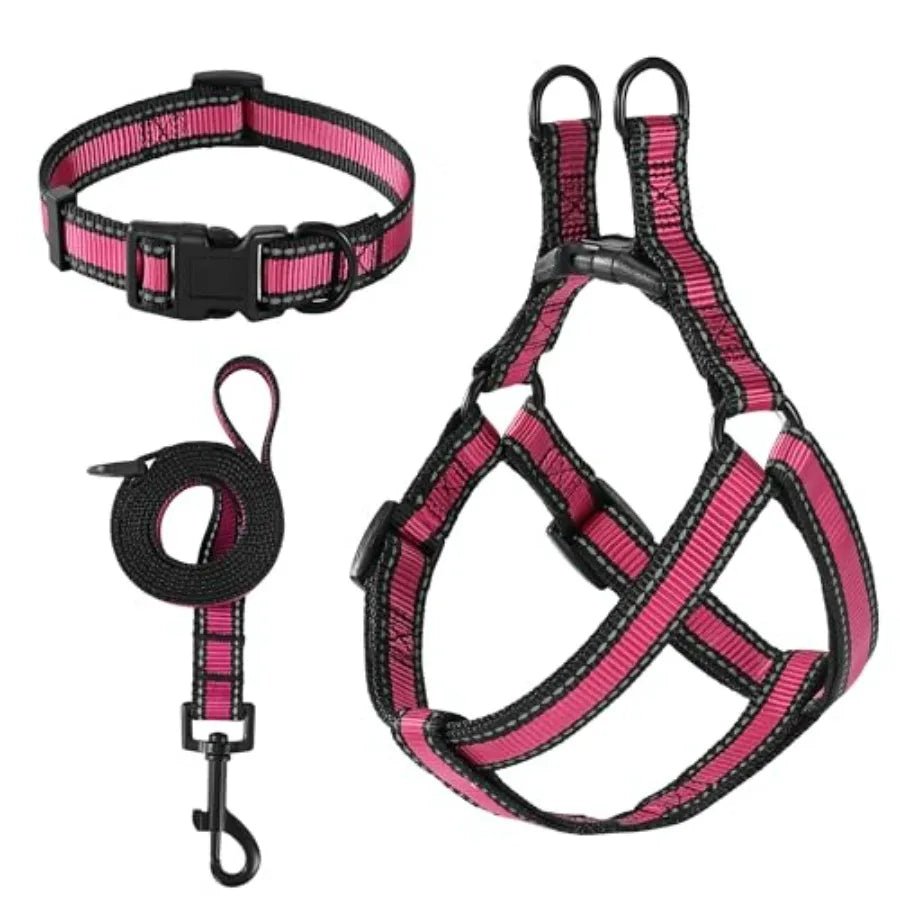 Night Double Adjustable Band Nylon Small Puppy Pet Dog Combo Collar Leash and Harness Set - Barking & Purrfectly Happy