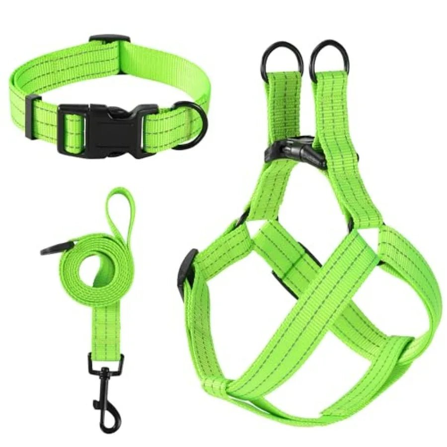 Night Double Adjustable Band Nylon Small Puppy Pet Dog Combo Collar Leash and Harness Set - Barking & Purrfectly Happy