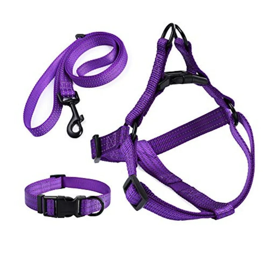 Night Double Adjustable Band Nylon Small Puppy Pet Dog Combo Collar Leash and Harness Set - Barking & Purrfectly Happy