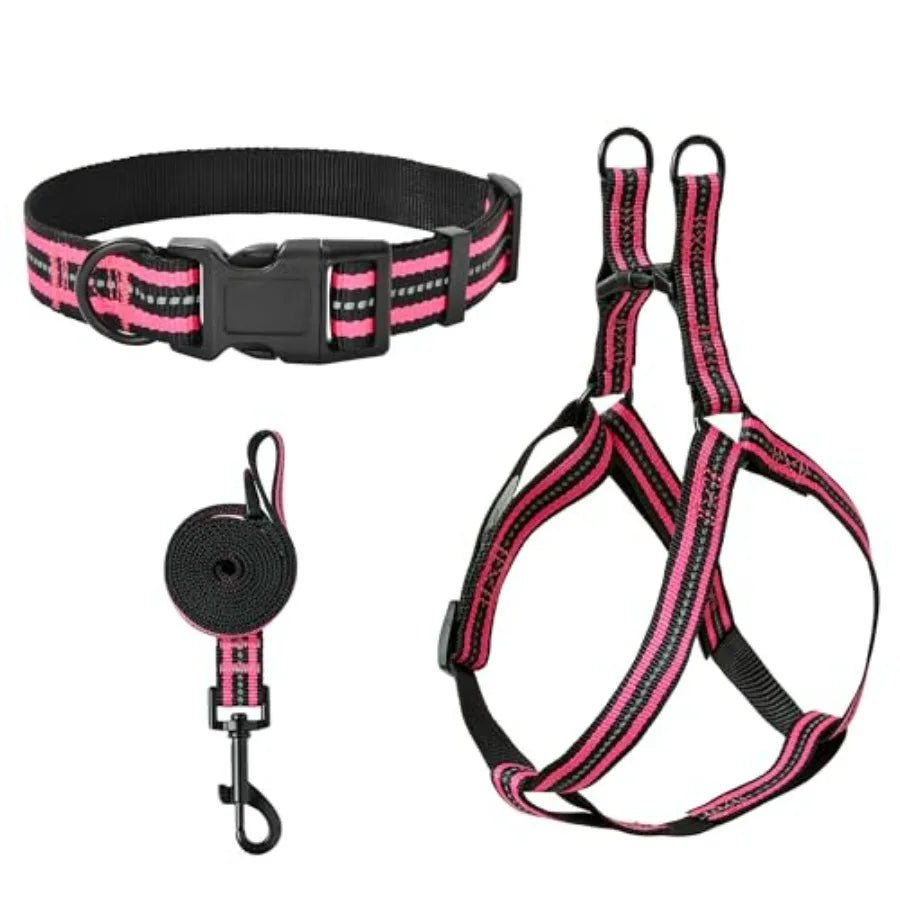 Night Double Adjustable Band Nylon Small Puppy Pet Dog Combo Collar Leash and Harness Set - Barking & Purrfectly Happy