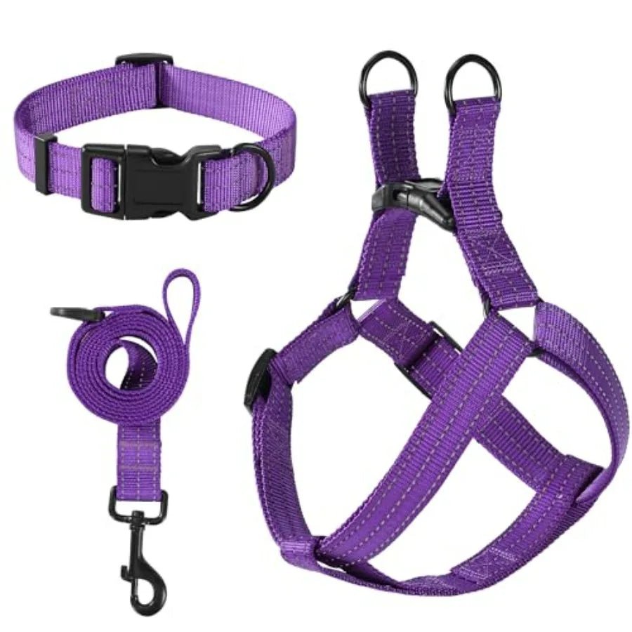 Night Double Adjustable Band Nylon Small Puppy Pet Dog Combo Collar Leash and Harness Set - Barking & Purrfectly Happy