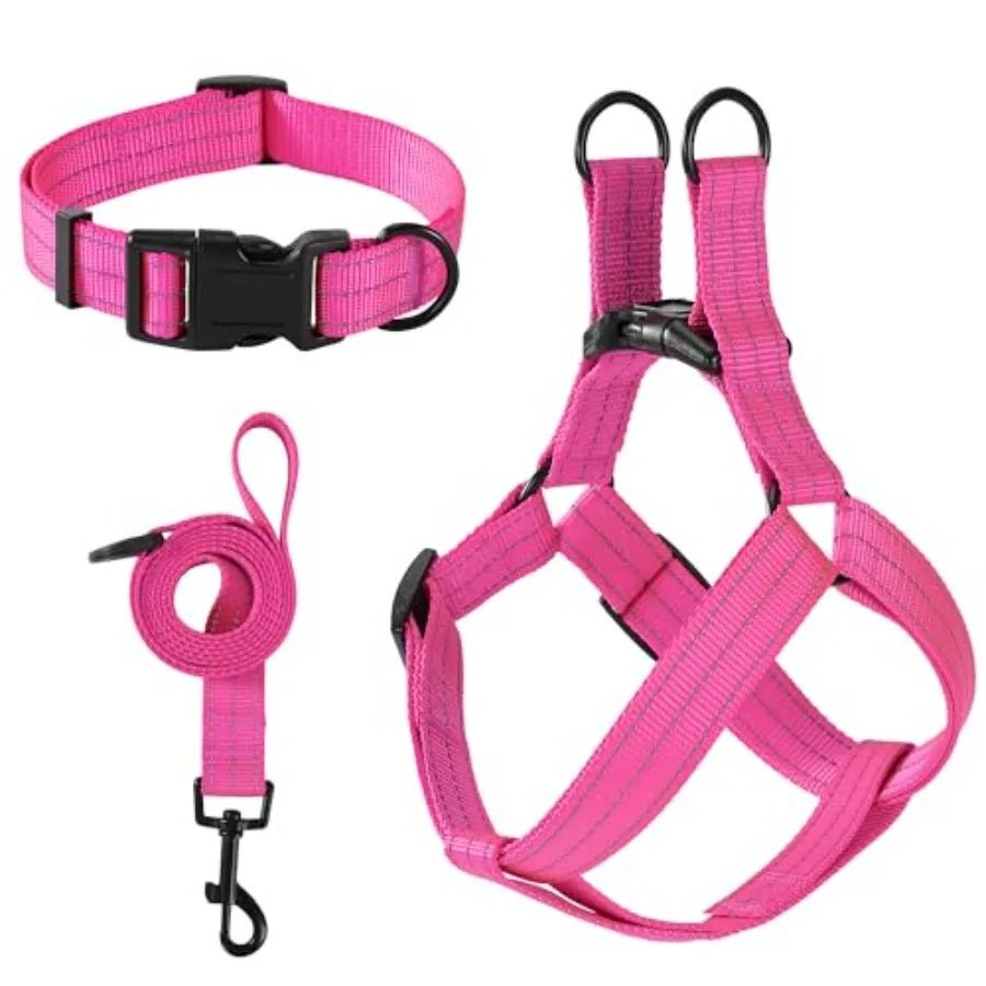 Night Double Adjustable Band Nylon Small Puppy Pet Dog Combo Collar Leash and Harness Set - Barking & Purrfectly Happy