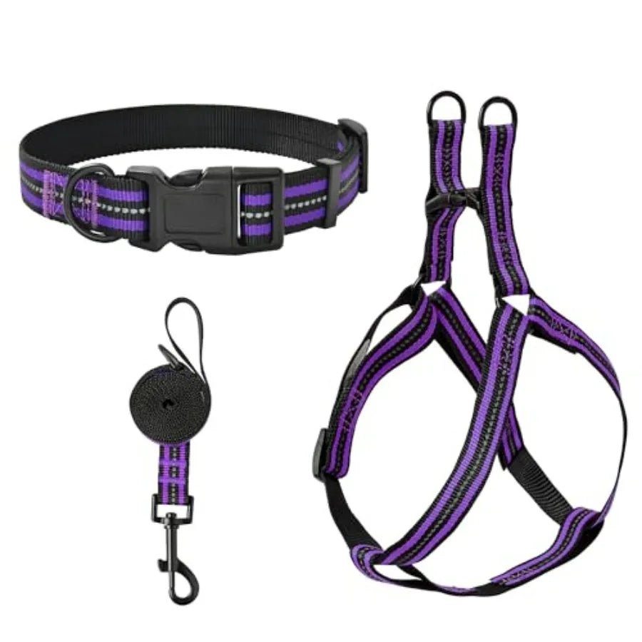 Night Double Adjustable Band Nylon Small Puppy Pet Dog Combo Collar Leash and Harness Set - Barking & Purrfectly Happy