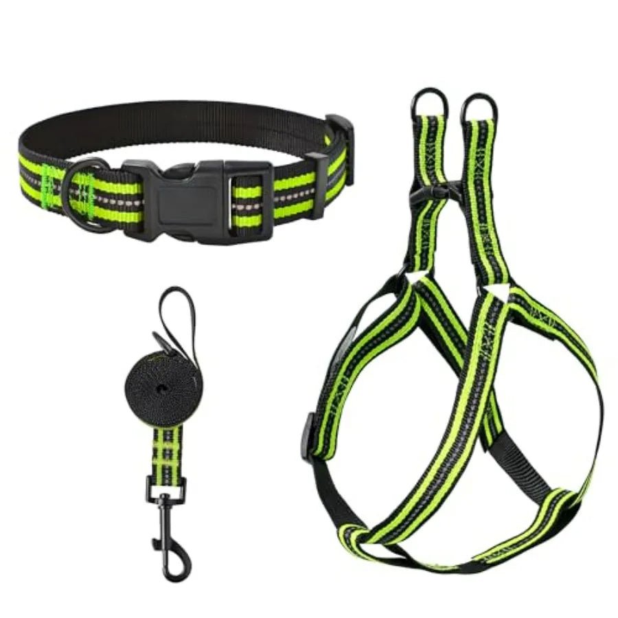 Night Double Adjustable Band Nylon Small Puppy Pet Dog Combo Collar Leash and Harness Set - Barking & Purrfectly Happy