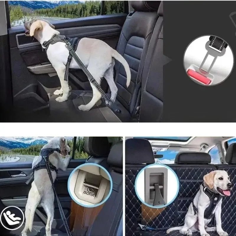 Pet Seat Belt Adapters - Car Metal Clips for Pet Leashes, Compatible with Truck & Car Seats - Barking & Purrfectly Happy