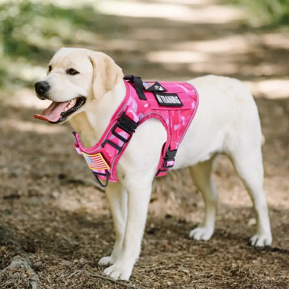 Pink Camo Dog Harness Service Dog Vest for Large Breed Dogs Adjustable Molle Vest Molle Vest with Patchs Hook and Loop Panel - Barking & Purrfectly Happy