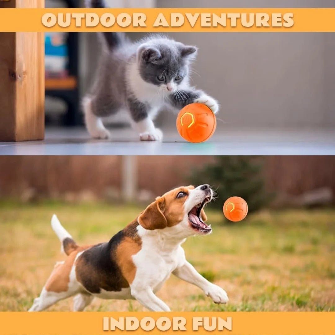Smart Bouncing Electric Pet Ball, Automatic Random Motion Toy, Durable Chew-Resistant for Cats and Dogs - Barking & Purrfectly Happy